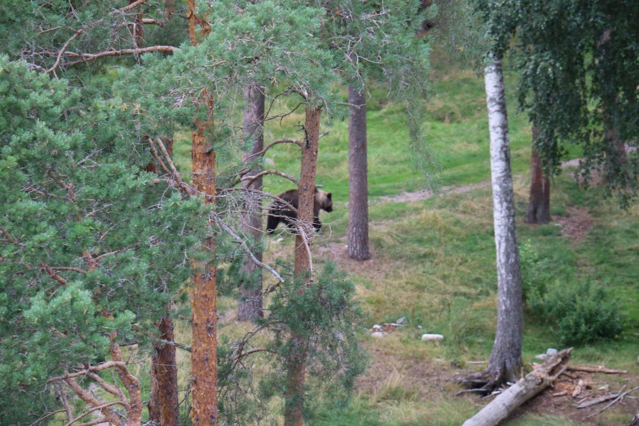 Appartamento Bograngen Lgh D Brograngen Esterno foto